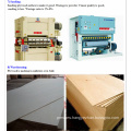 Short Cycle Plywood Hot Press Machine for Wood Panel Plywood Laminating